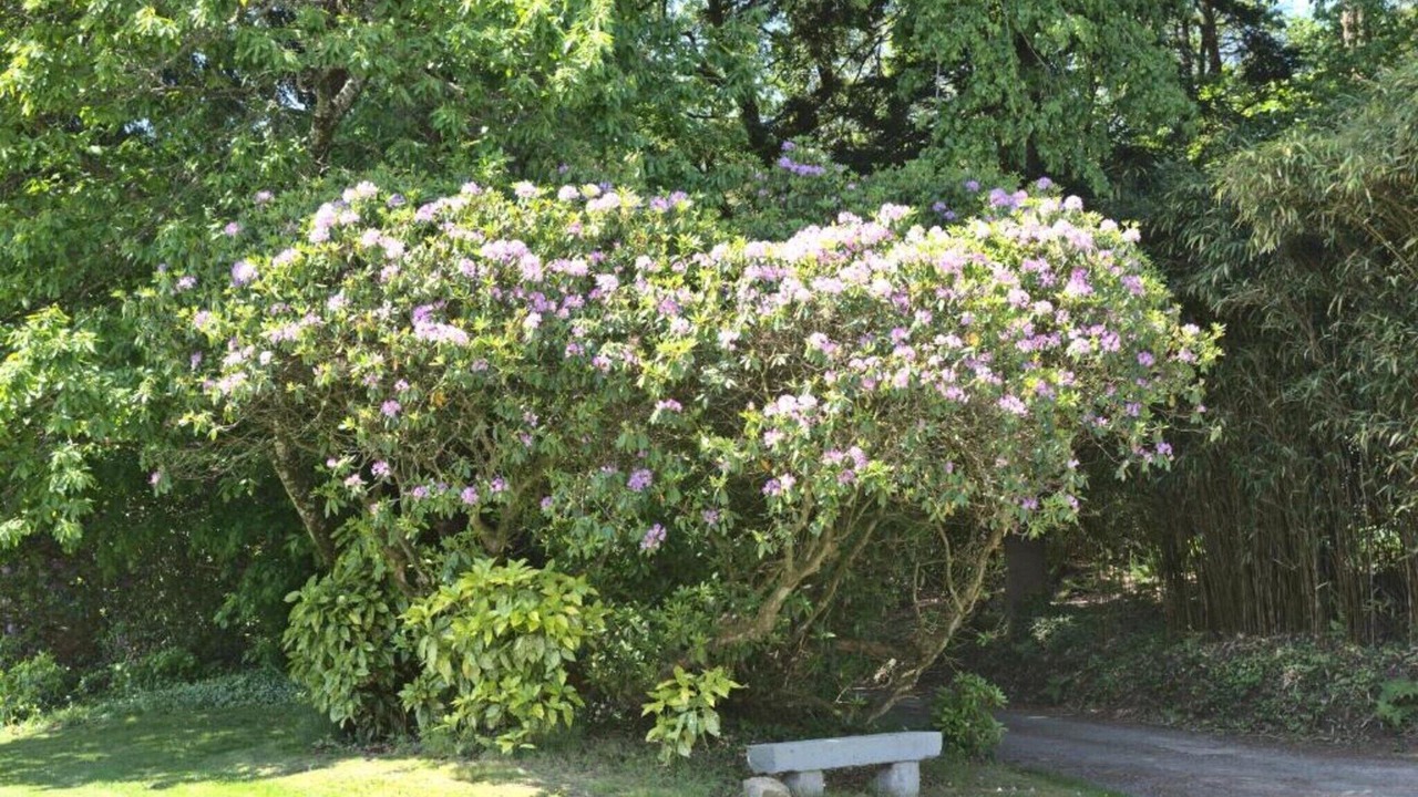 Photo of Others in Queven