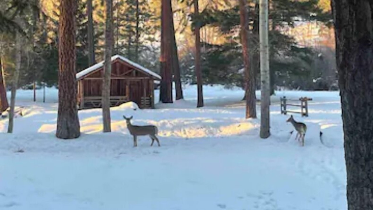 Photo of Others in Missoula