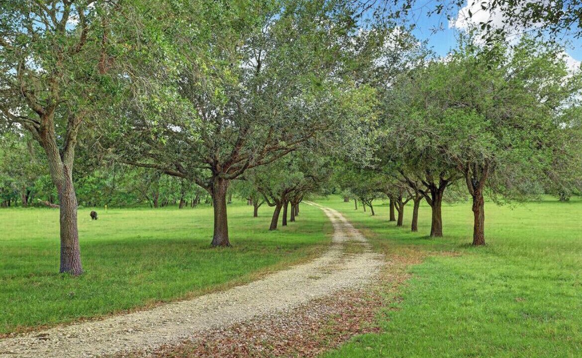 Photo of Others in Cedar Lane