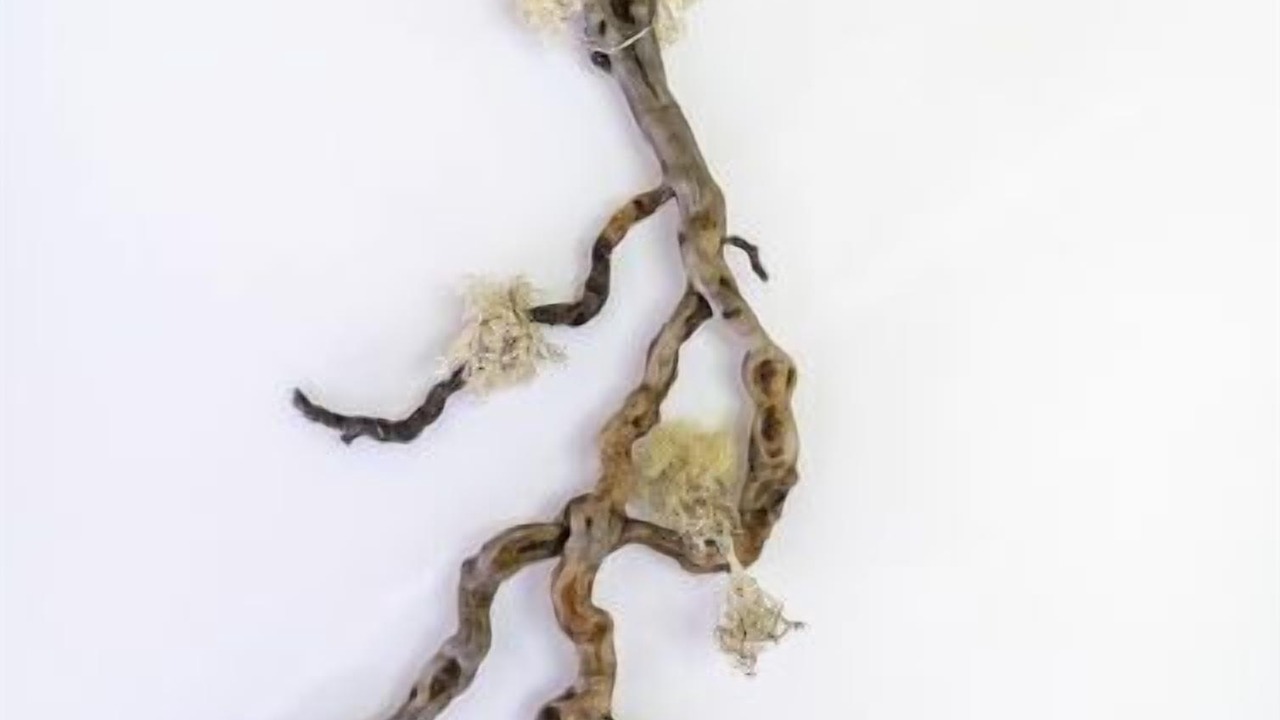 Photo of Outdoor in Beauly