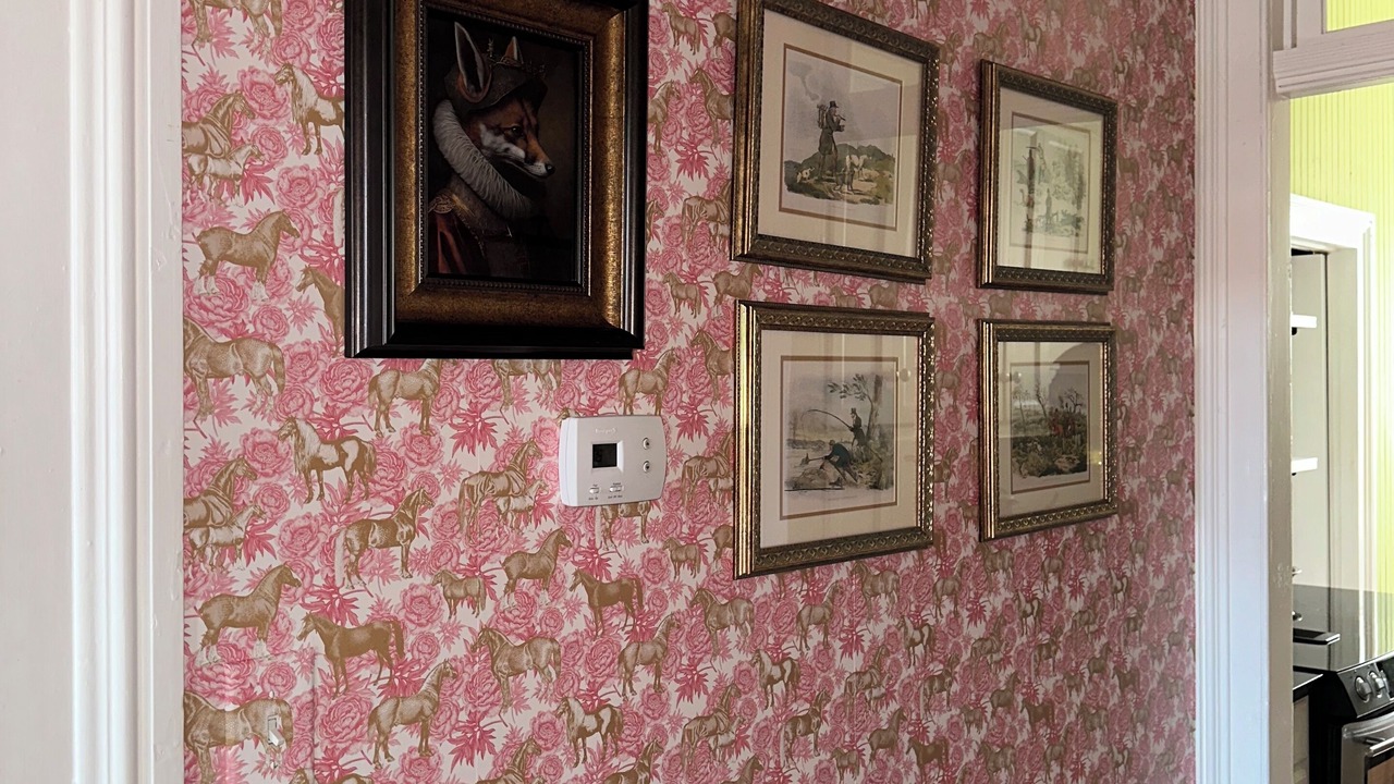 Photo of Others in Aiken