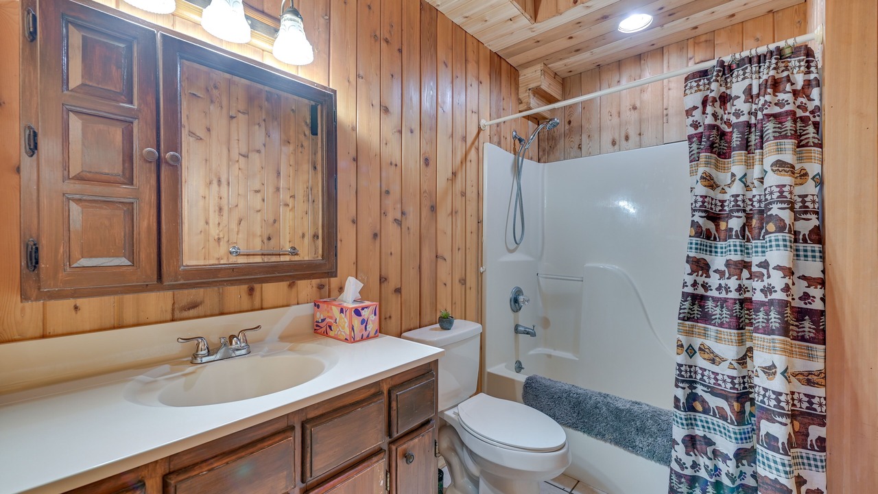 Photo of Bathroom in Oak Hill