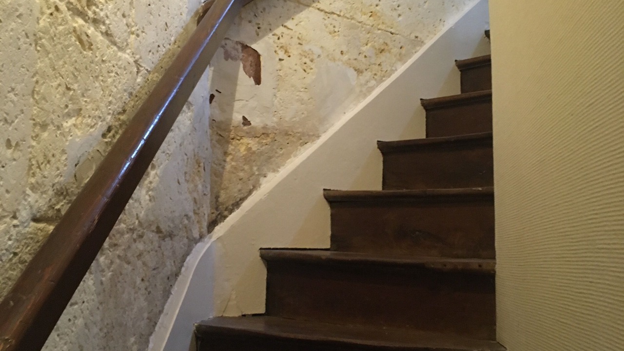 Photo of Others in Angouleme