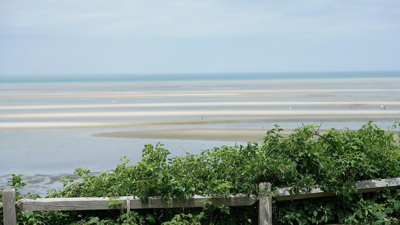 Photo of Others in Brewster
