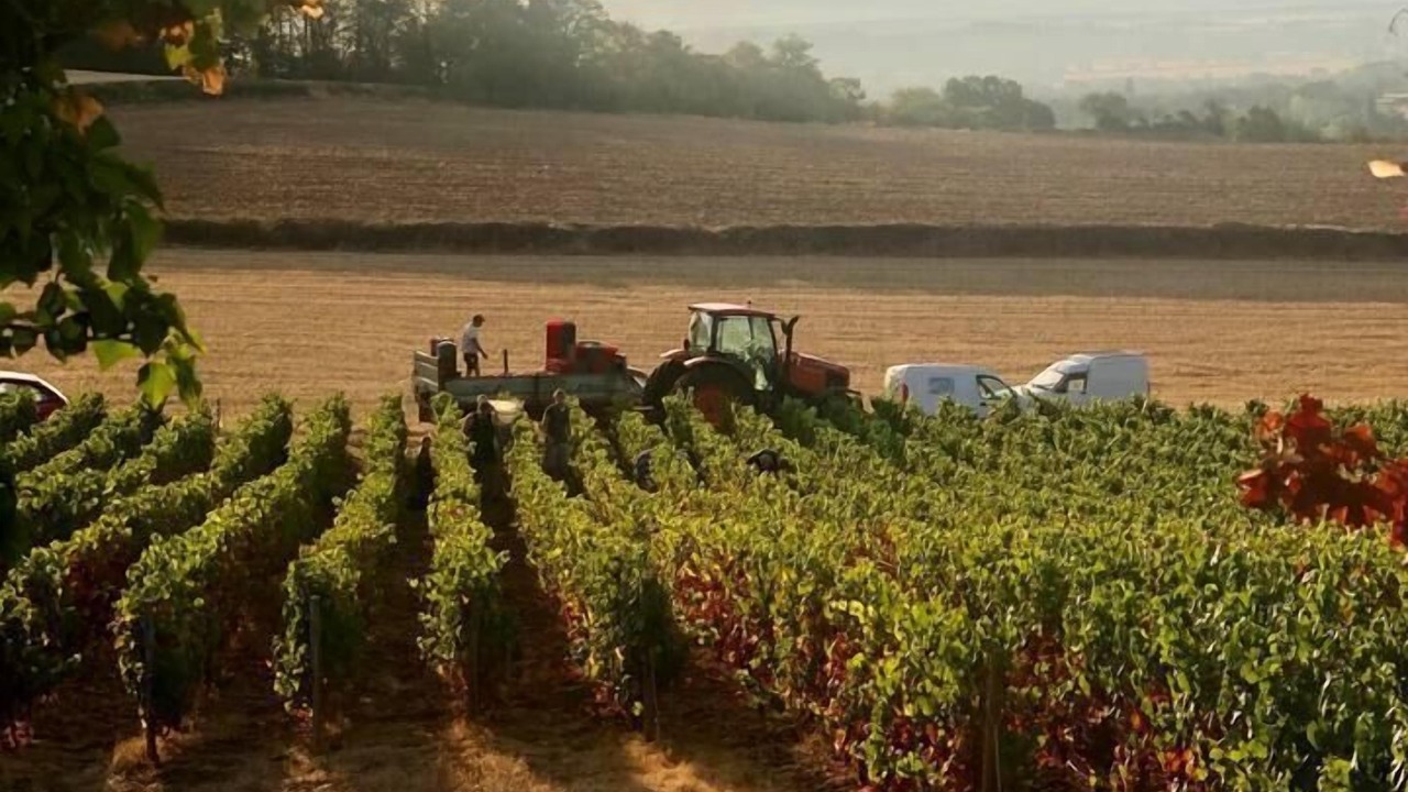 Photo of Others in Saint-Ythaire