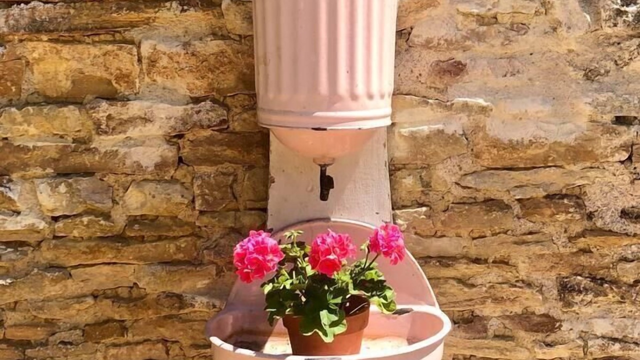 Photo of Others in Saint-Ythaire