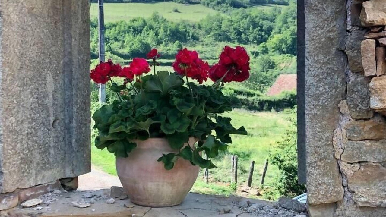 Photo of Others in Saint-Ythaire