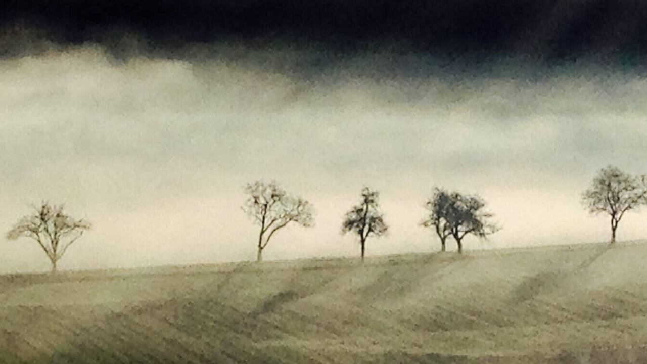 Photo of Others in Saint-Ythaire