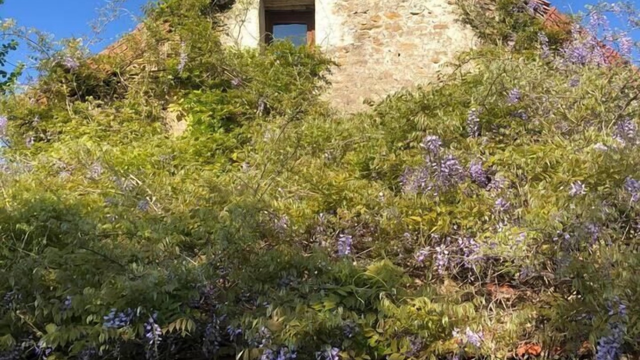 Photo of Others in Saint-Ythaire