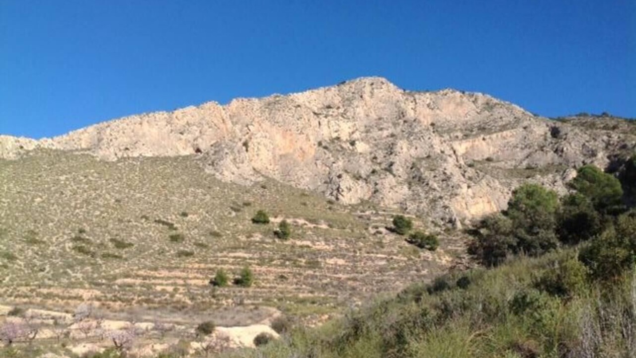 Photo of Others in Los Montesinos