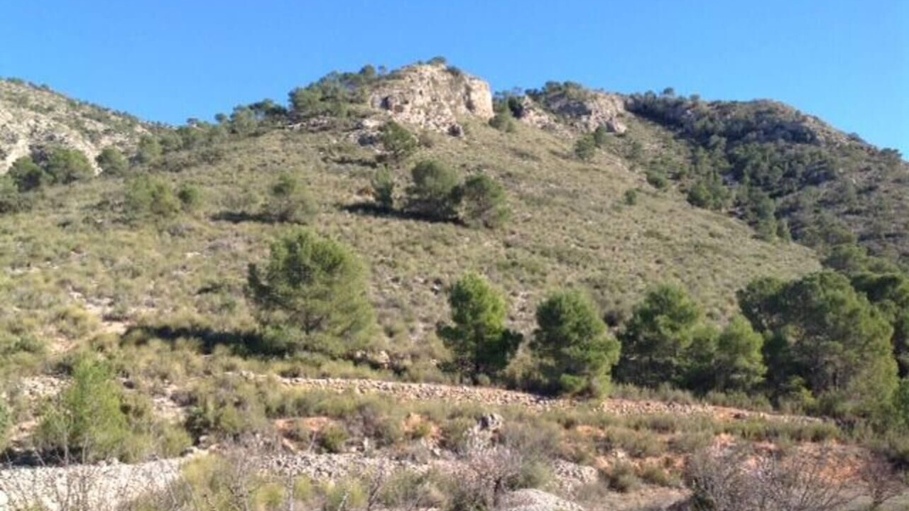 Photo of Others in Los Montesinos