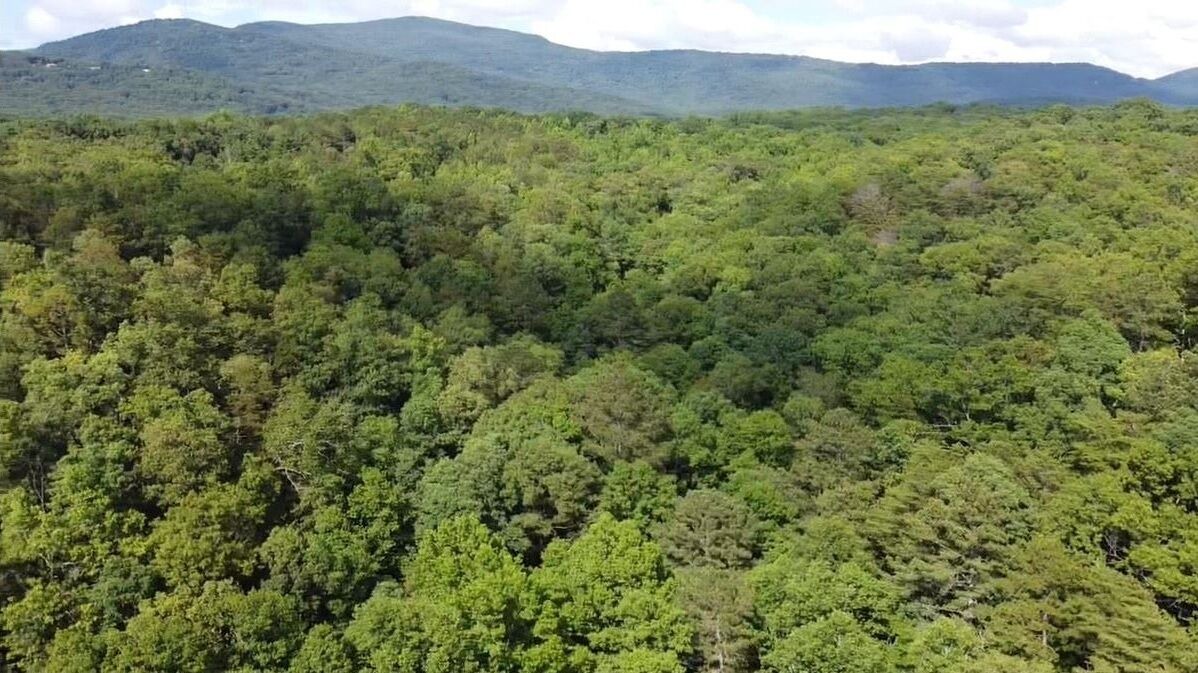 Photo of Others in Tate