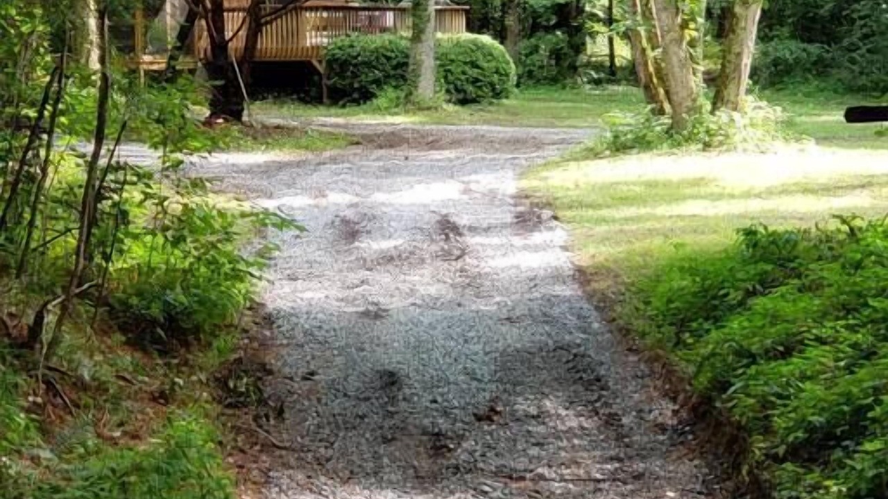 Photo of Others in Tate