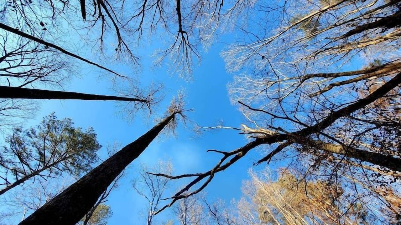 Photo of Others in Tate