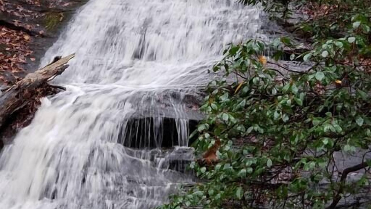 Photo of Others in Tate