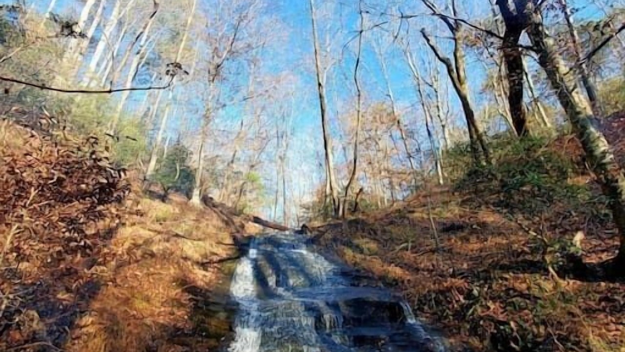 Photo of Others in Tate