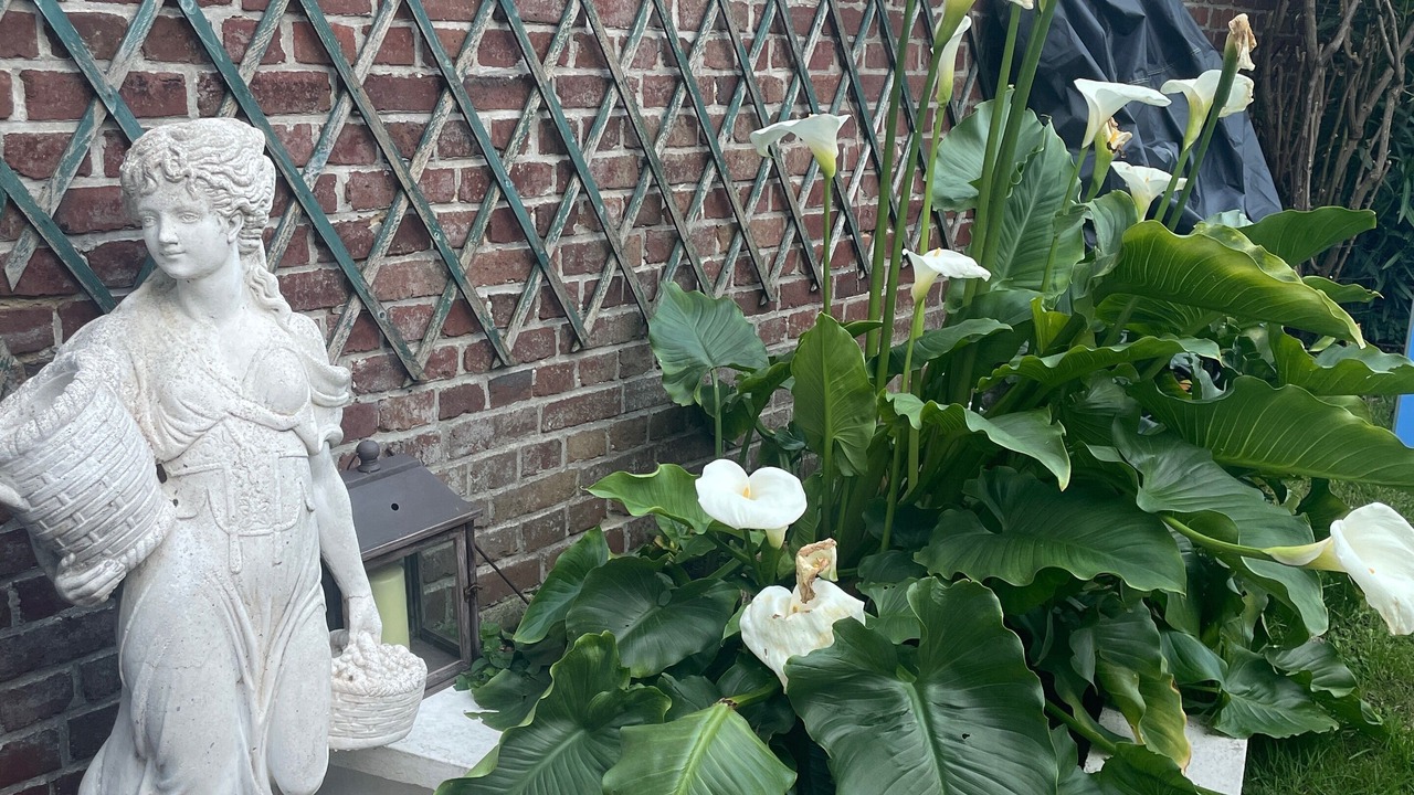 Photo of Outdoor in Le Treport