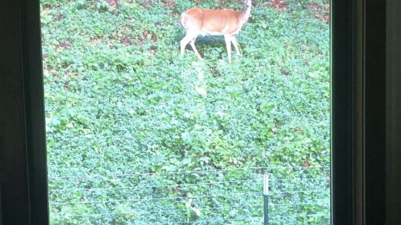 Photo of Others in Mansfield