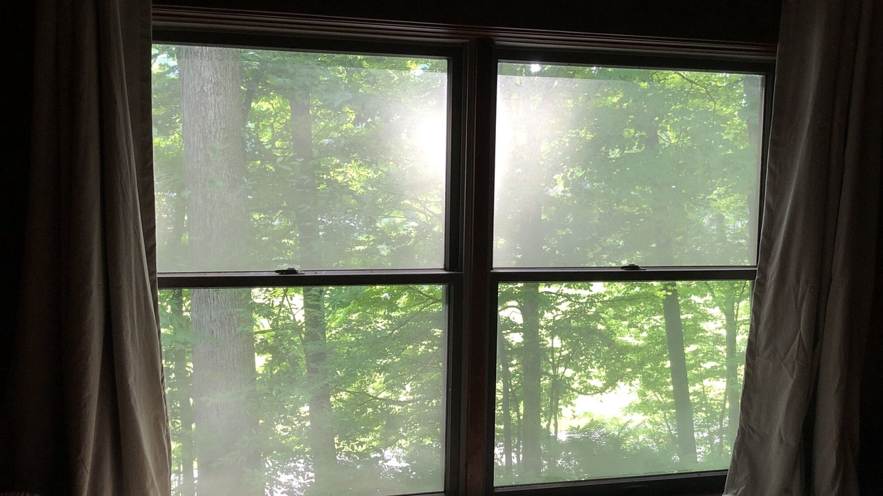 Photo of Others in Mansfield