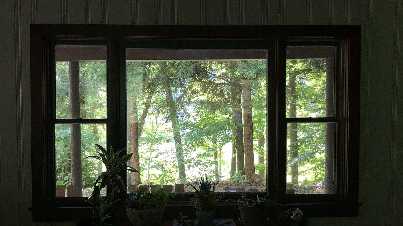 Photo of Others in Mansfield