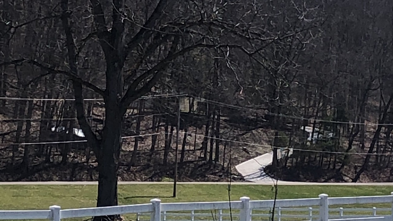 Photo of Others in Mansfield