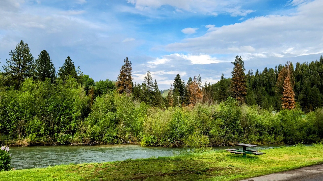 Photo of Outdoor in Lowman