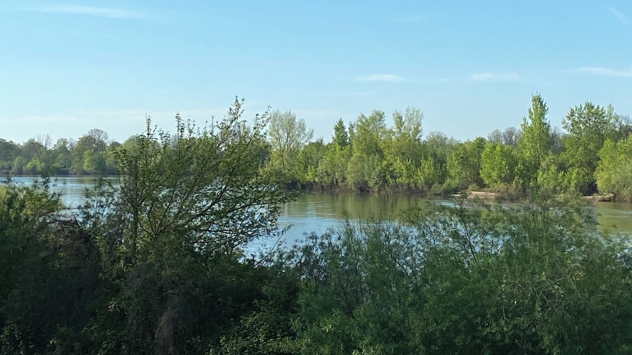 Photo of Outdoor in Narcy