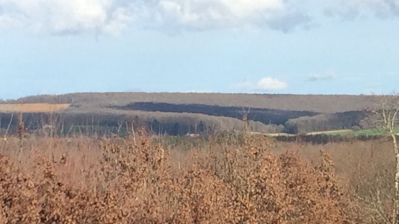 Photo of Outdoor in Narcy