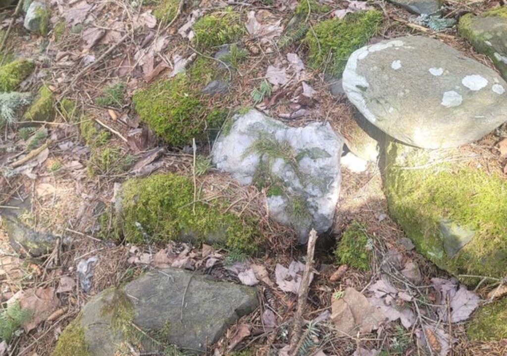 Photo of Others in Stewartstown