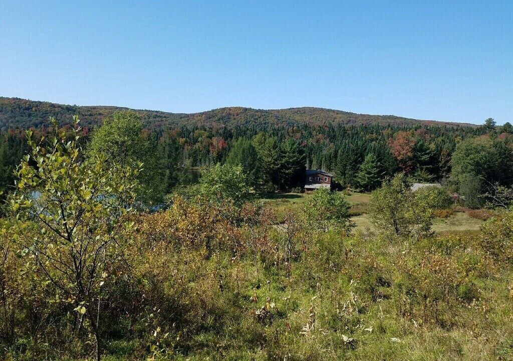 Photo of Others in Stewartstown