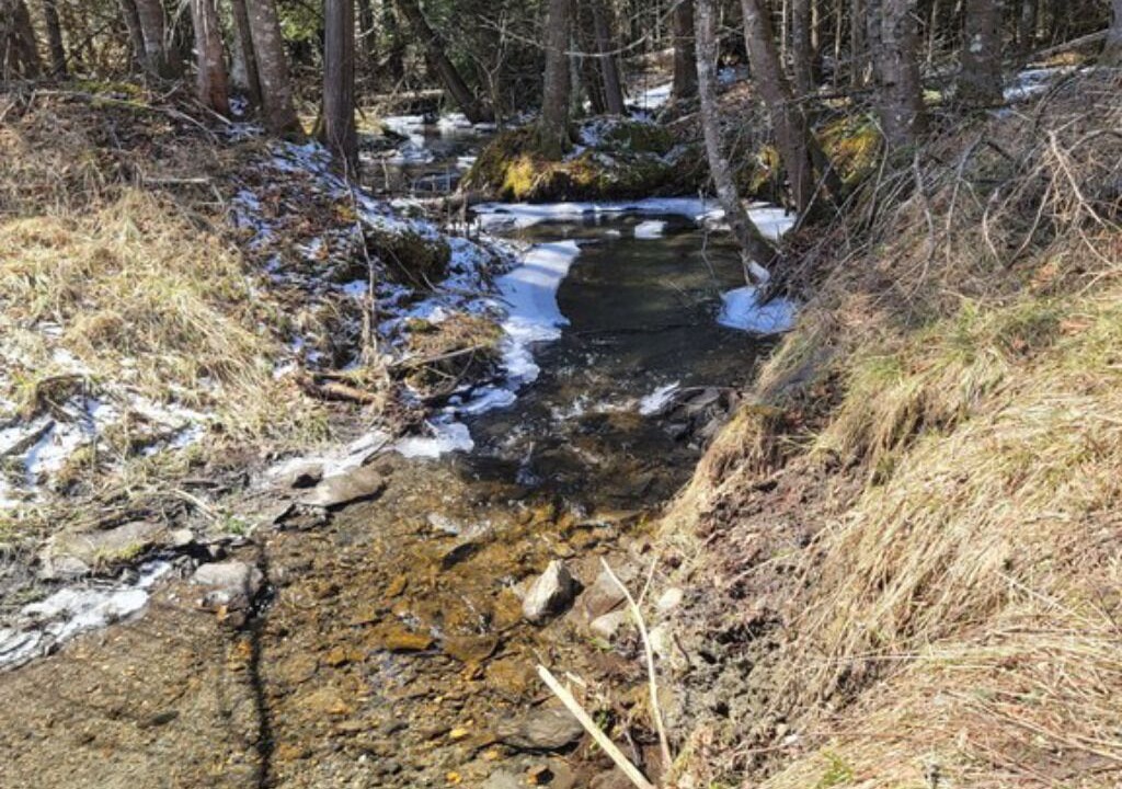 Photo of Others in Stewartstown