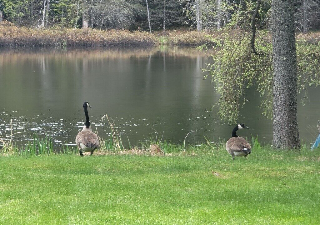 Photo of Others in Stewartstown