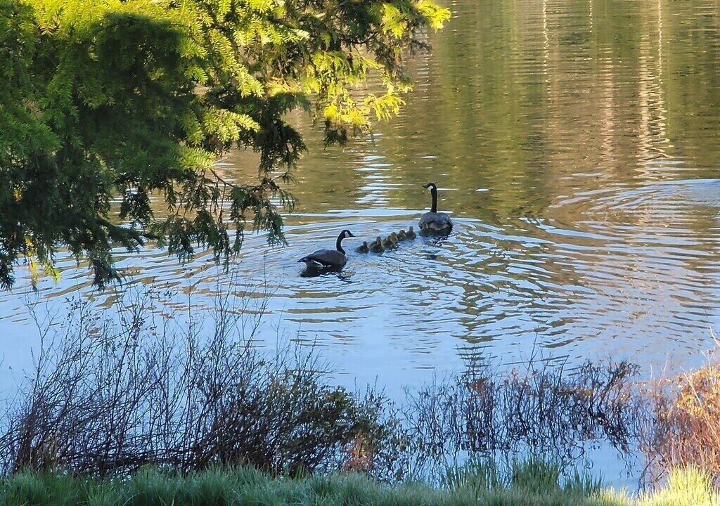 Photo of Others in Stewartstown