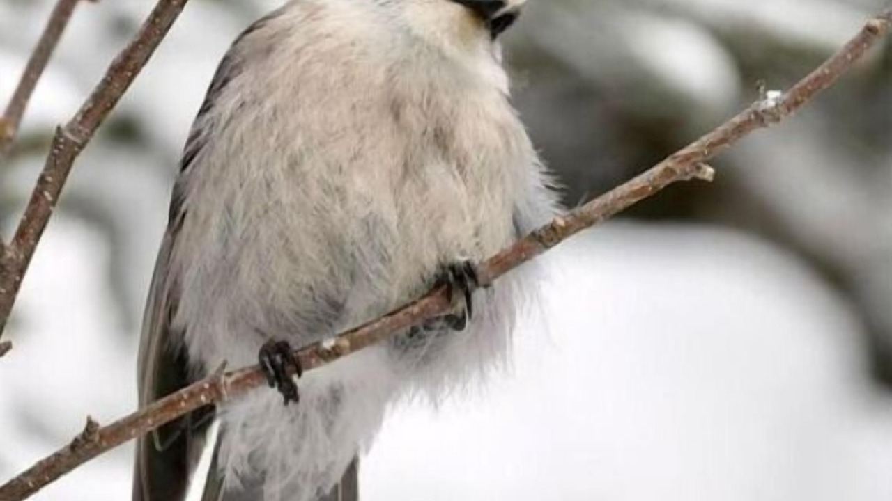 Photo of Others in Stewartstown