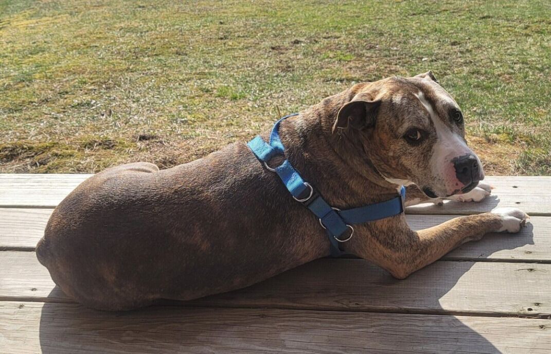 Photo of Others in Stewartstown