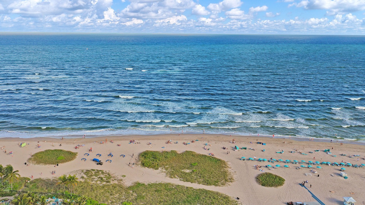 Photo of Others in Pompano Beach