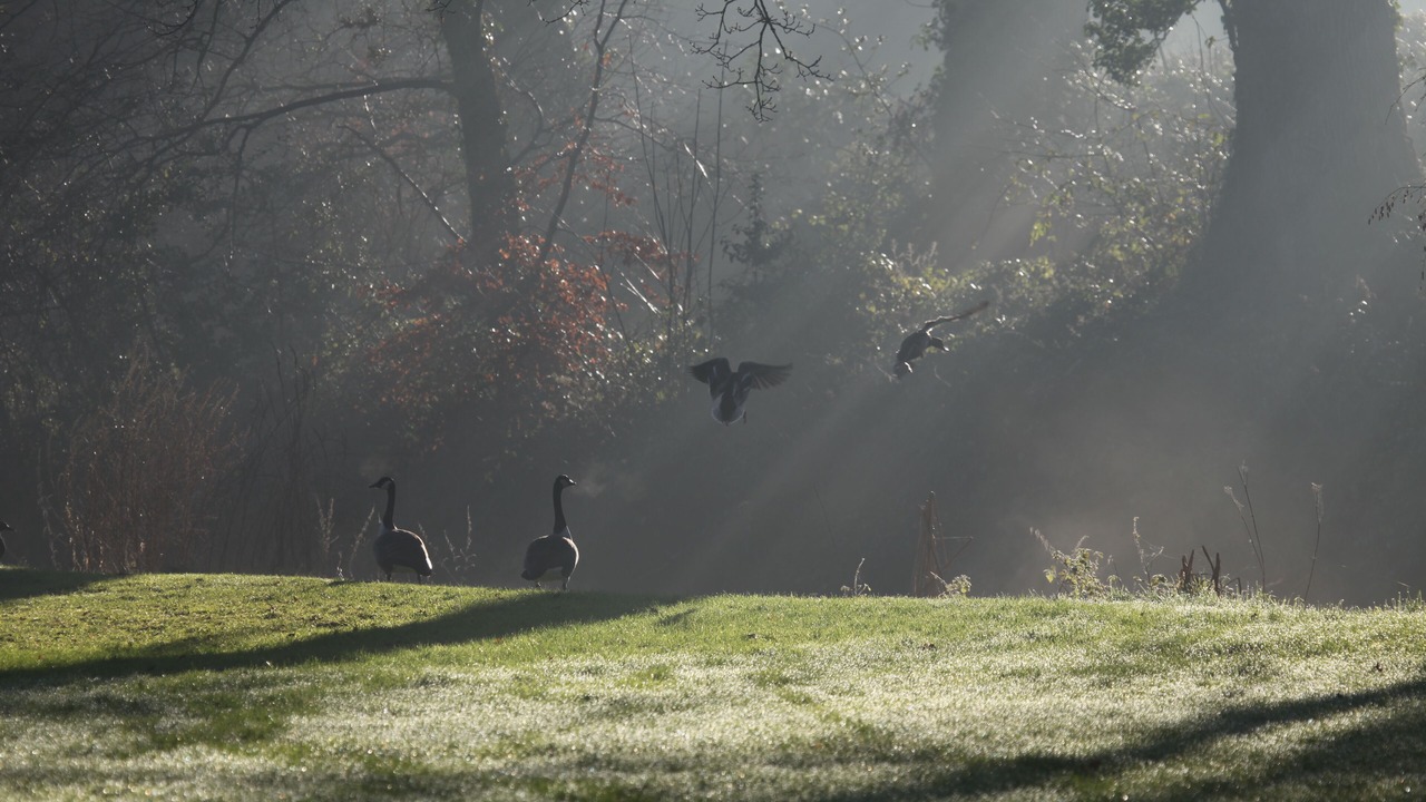Photo of Others in Llanvair Kilgeddin