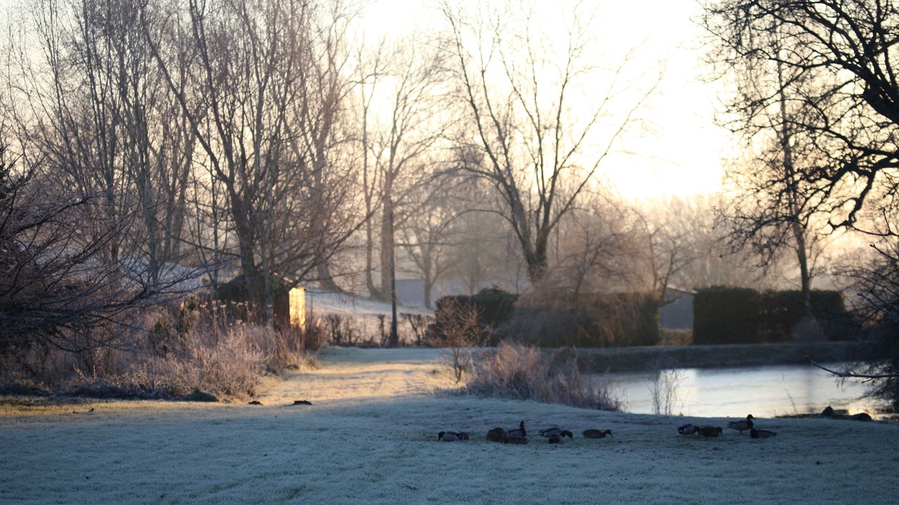 Photo of Others in Llanvair Kilgeddin