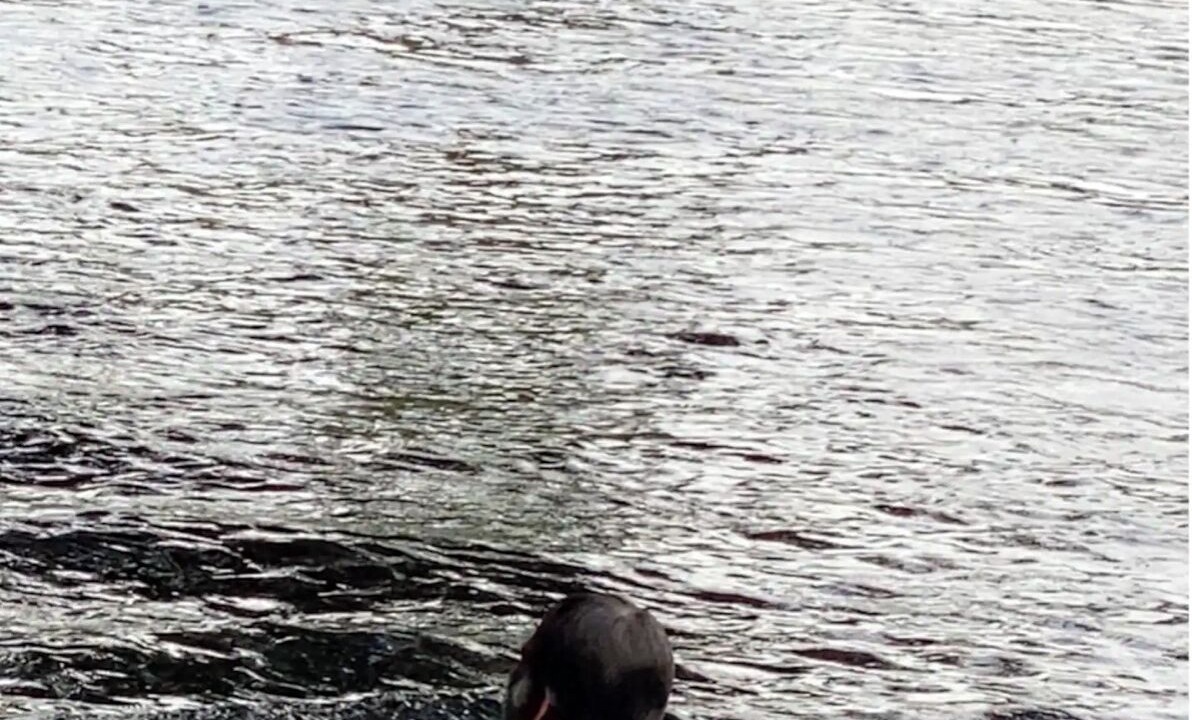 Photo of Others in Cold Brook