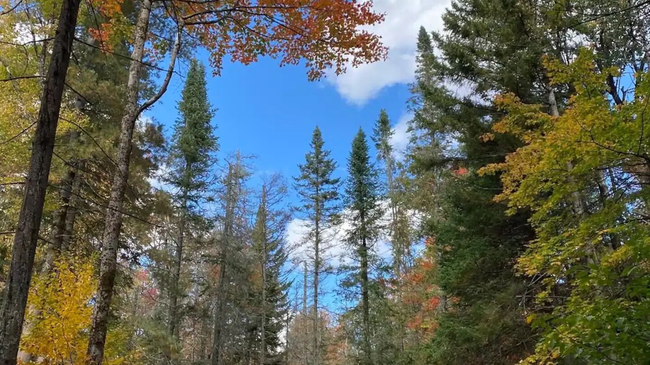 Photo of Outdoor in Cold Brook