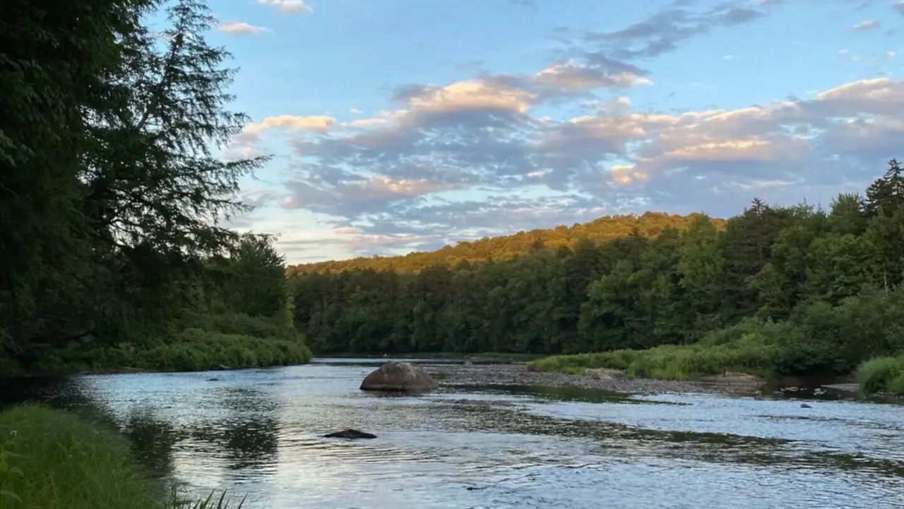 Photo of Others in Cold Brook
