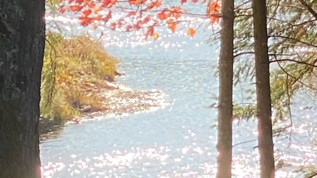 Photo of Others in Cold Brook
