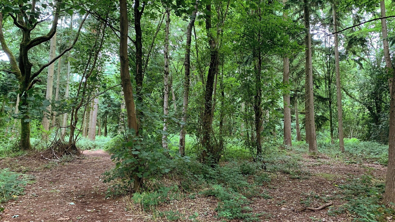 Photo of Outdoor in Bromham