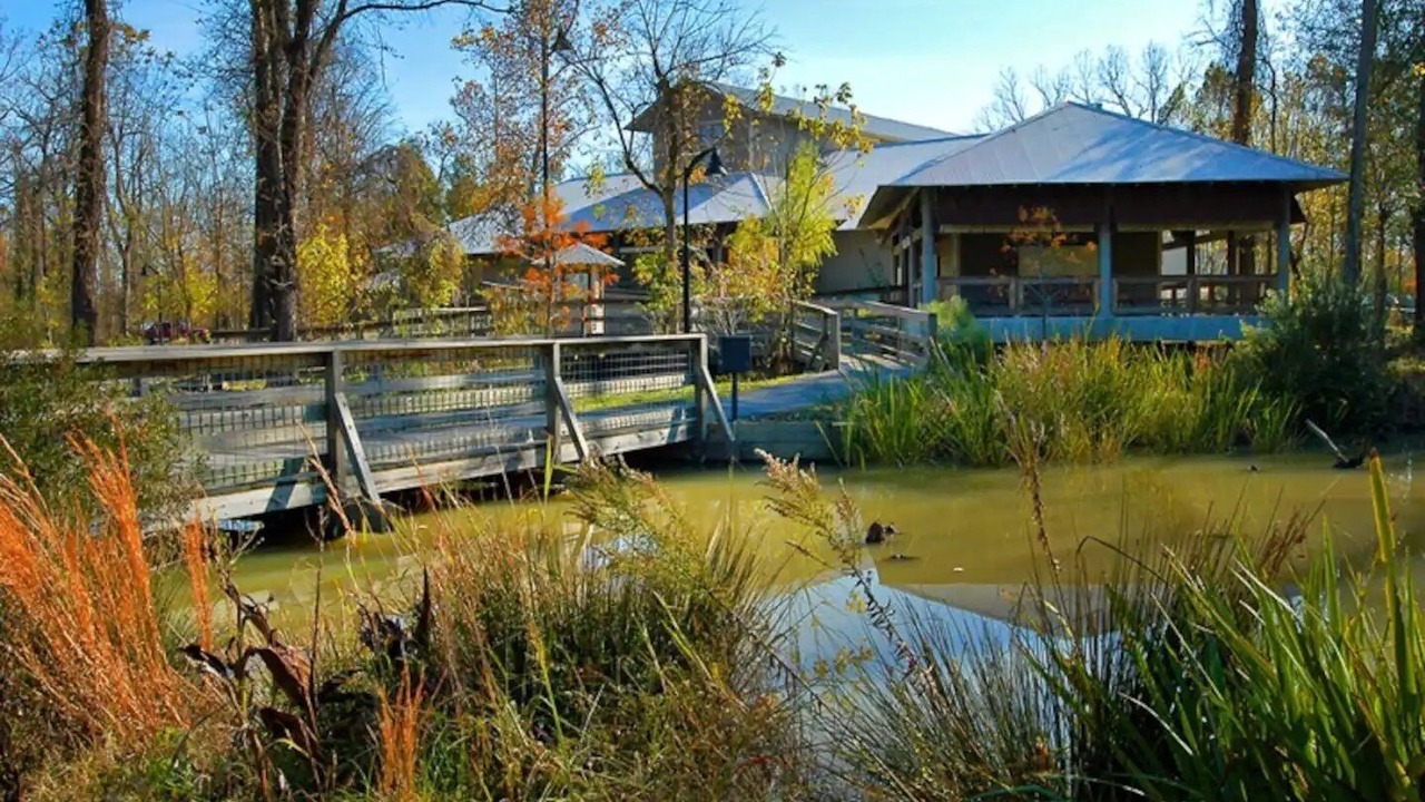 Photo of Outdoor in Pine Bluff