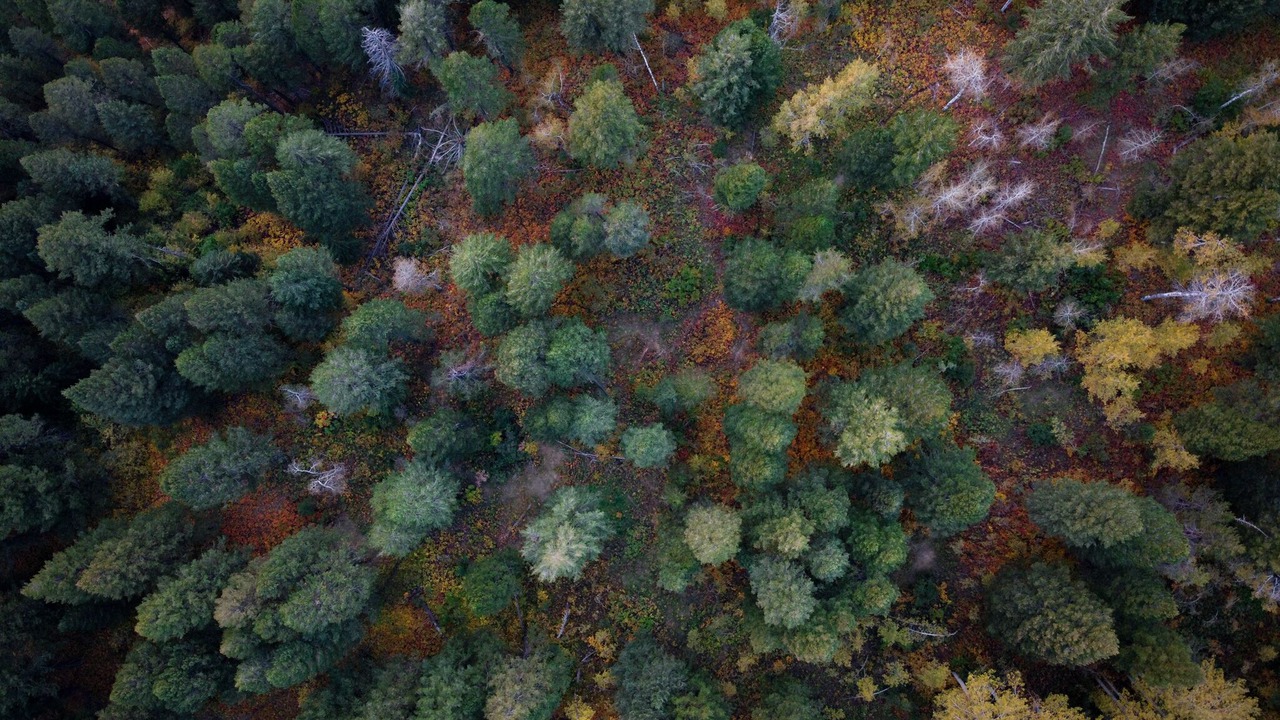 Photo of Others in Ashton