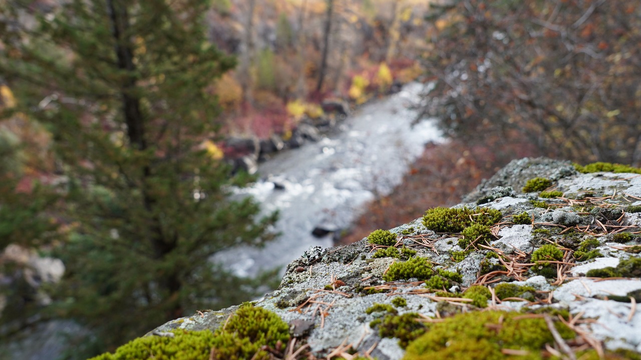 Photo of Others in Ashton