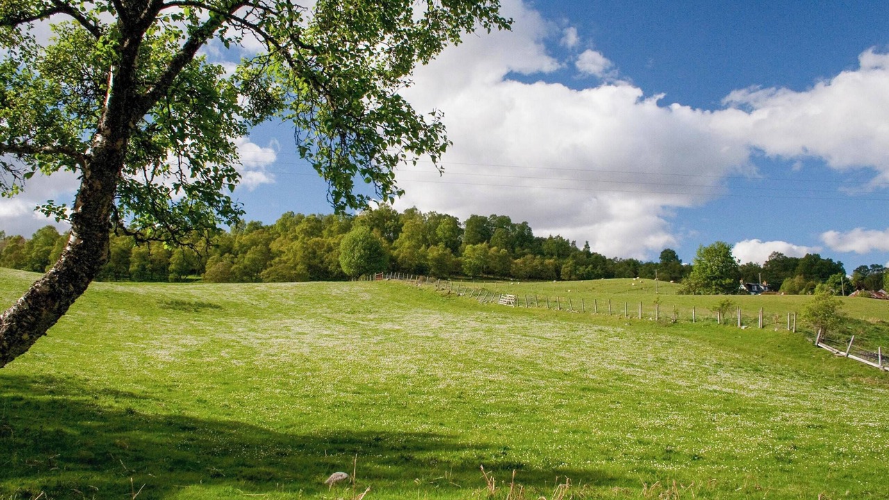 Photo of Others in Newtonmore