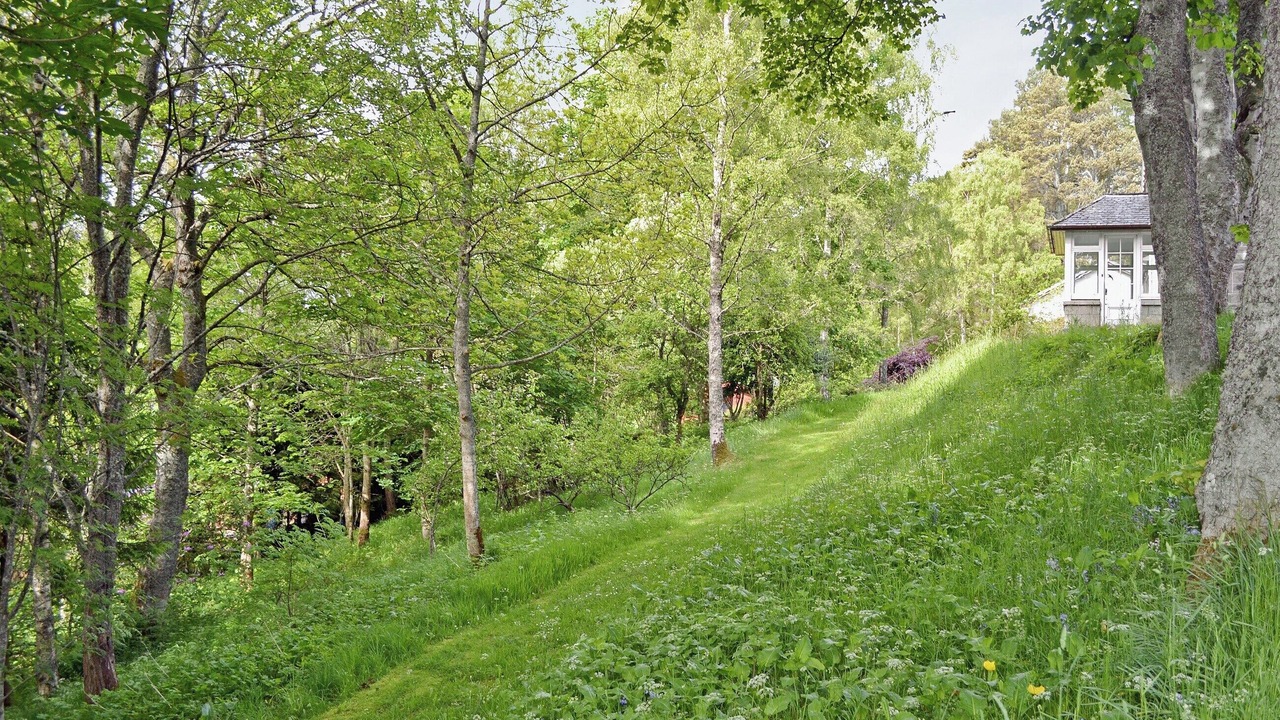 Photo of Outdoor in Newtonmore