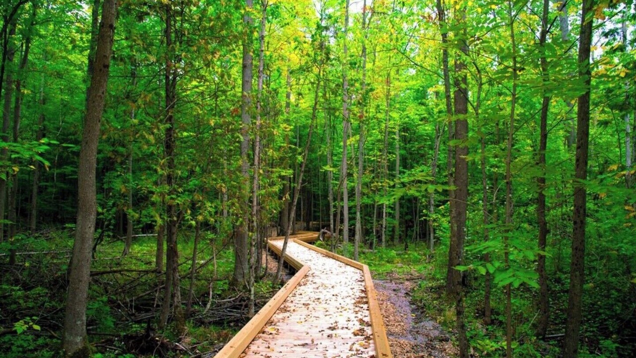 Photo of Outdoor in Innisfil