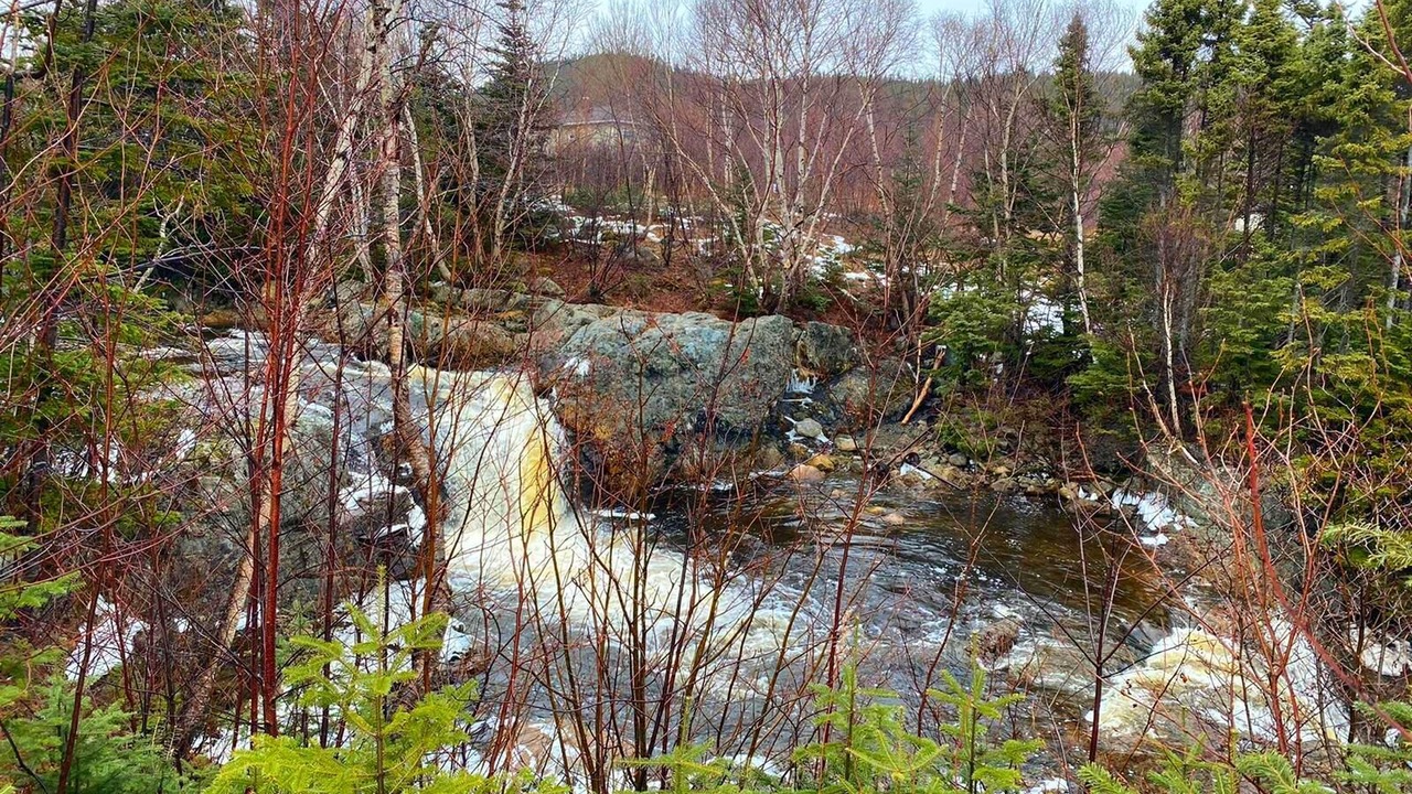 Photo of Others in Milton